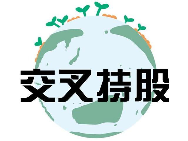 交叉持股安排设计(交叉持股怎么计算持股比例)都匀市